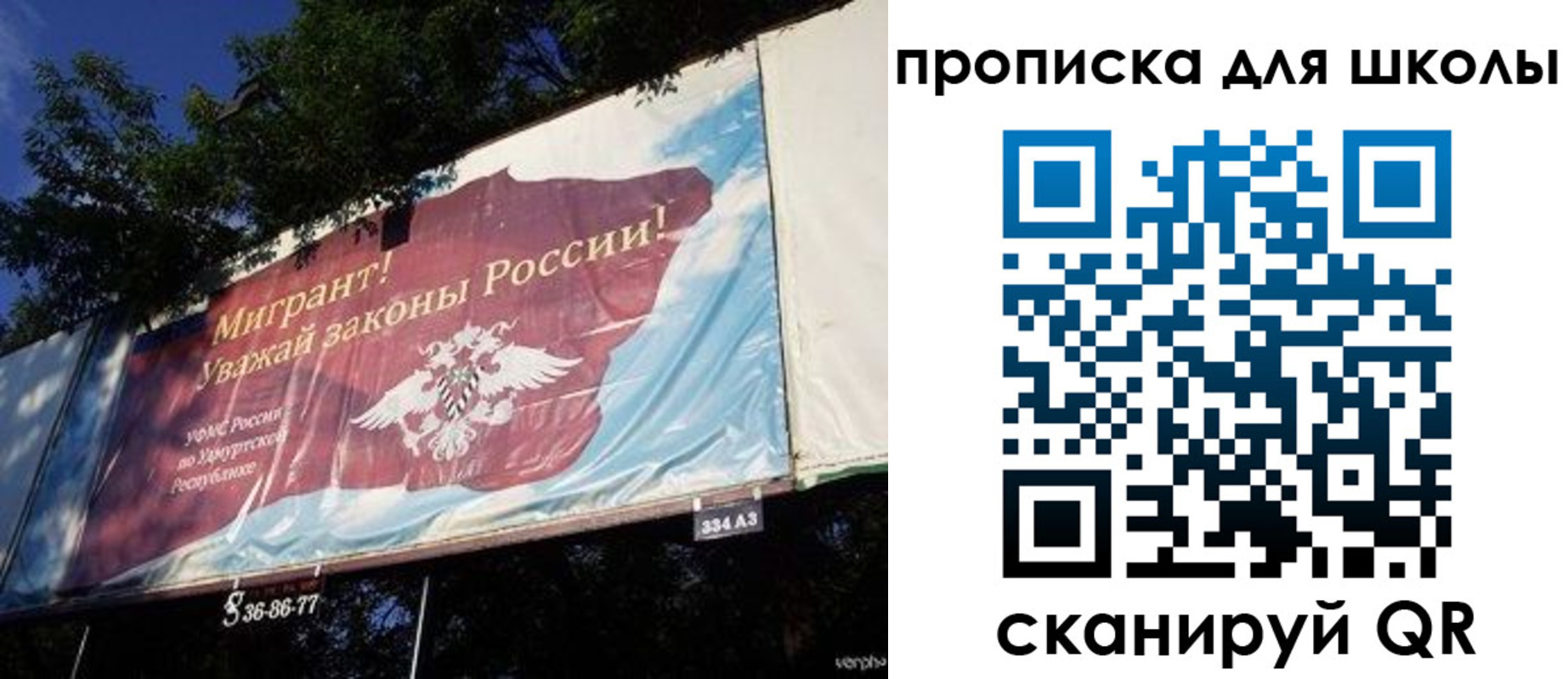 прописка для работы в Пионерском